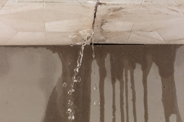 Professional Water Damage Repair technician working in Washington, NC